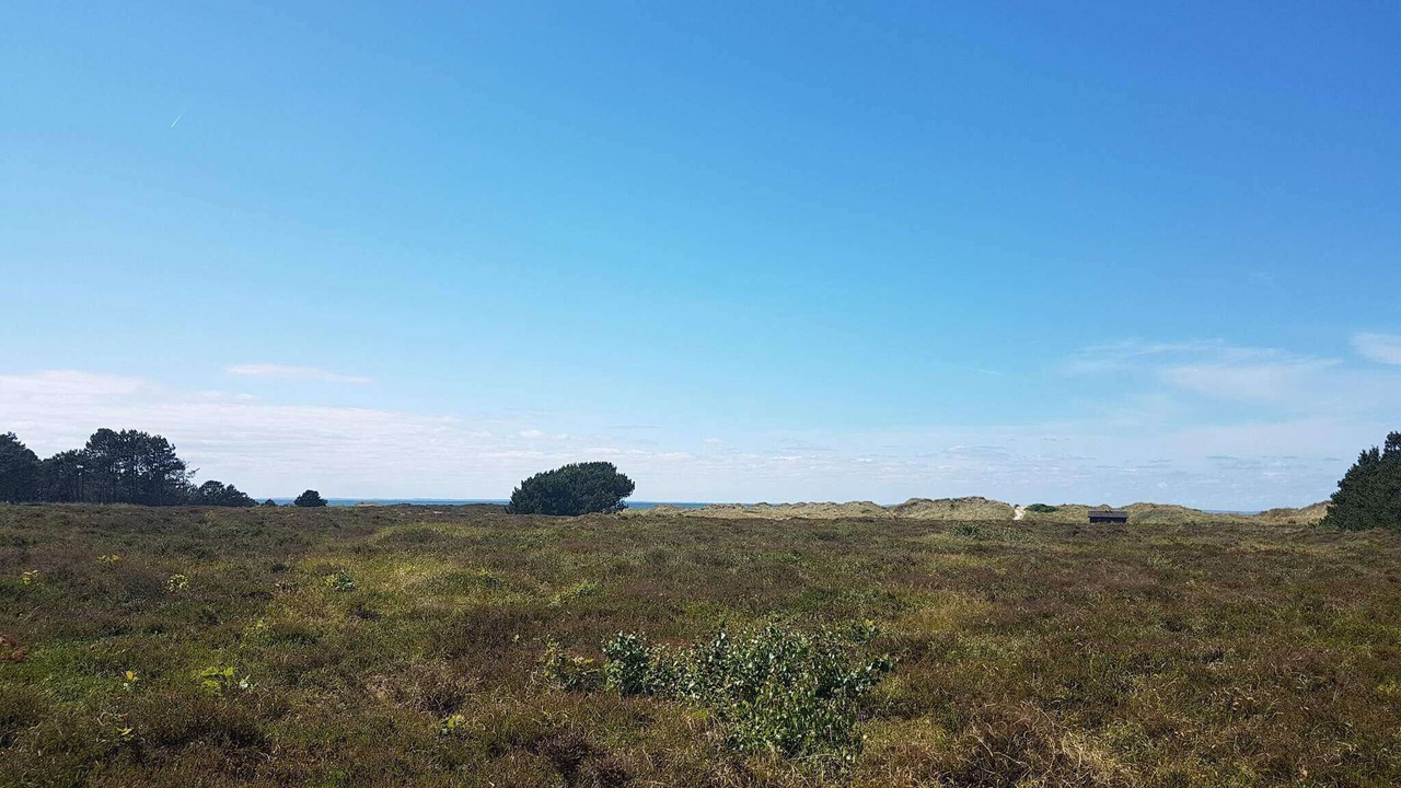 Photo of Others in Læsø