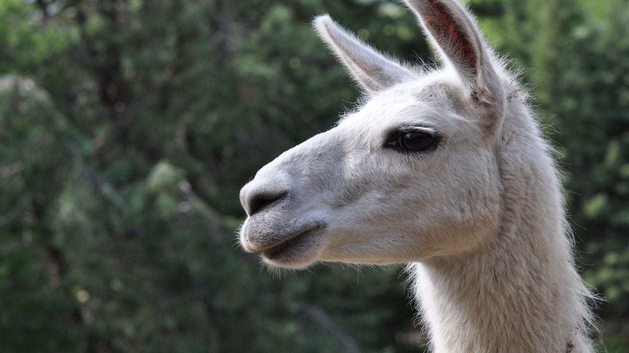 Photo of Outdoor in Vezenobres