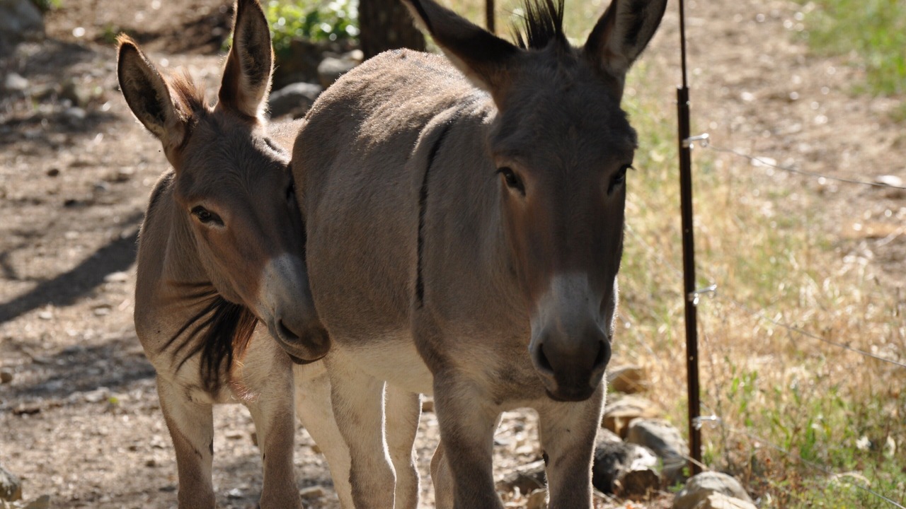 Photo of Others in Vezenobres