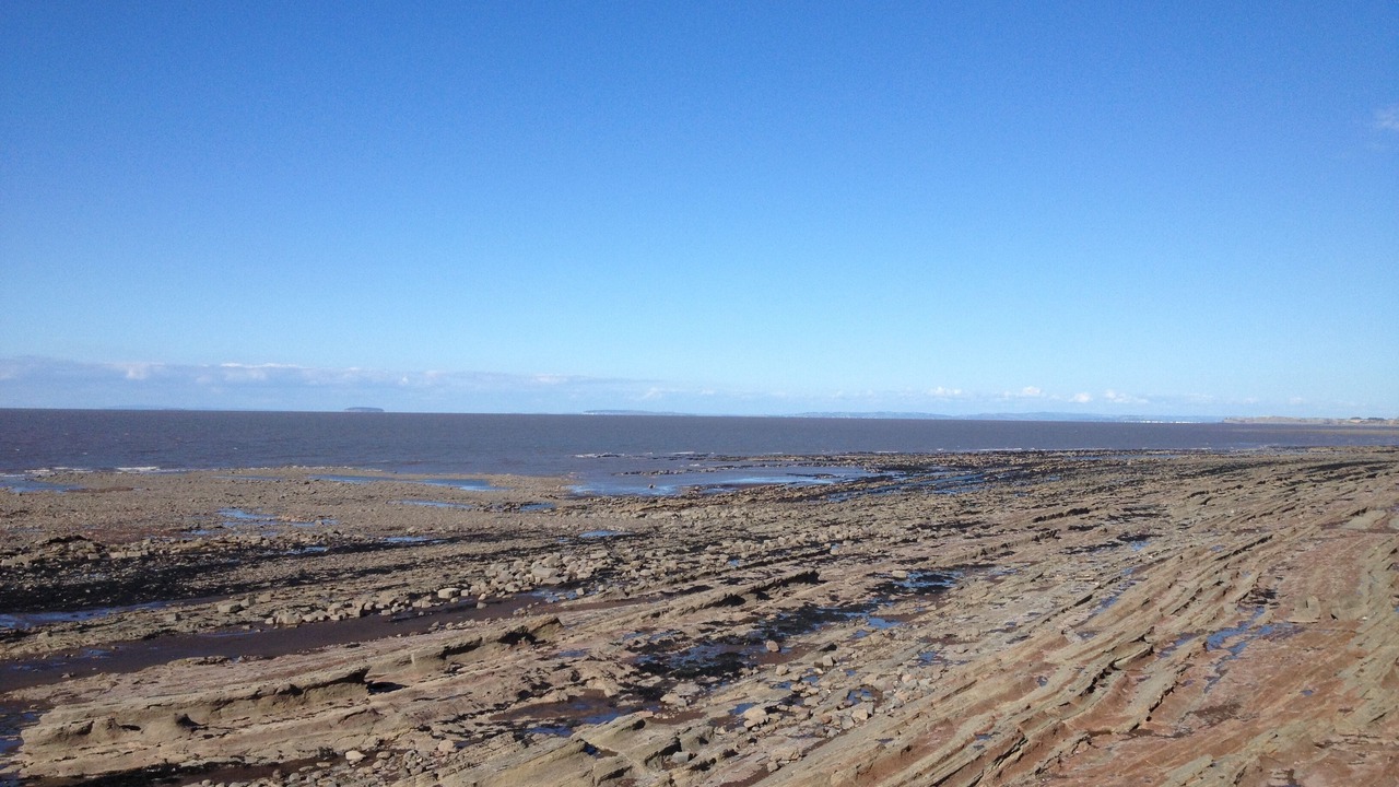 Photo of Others in Watchet