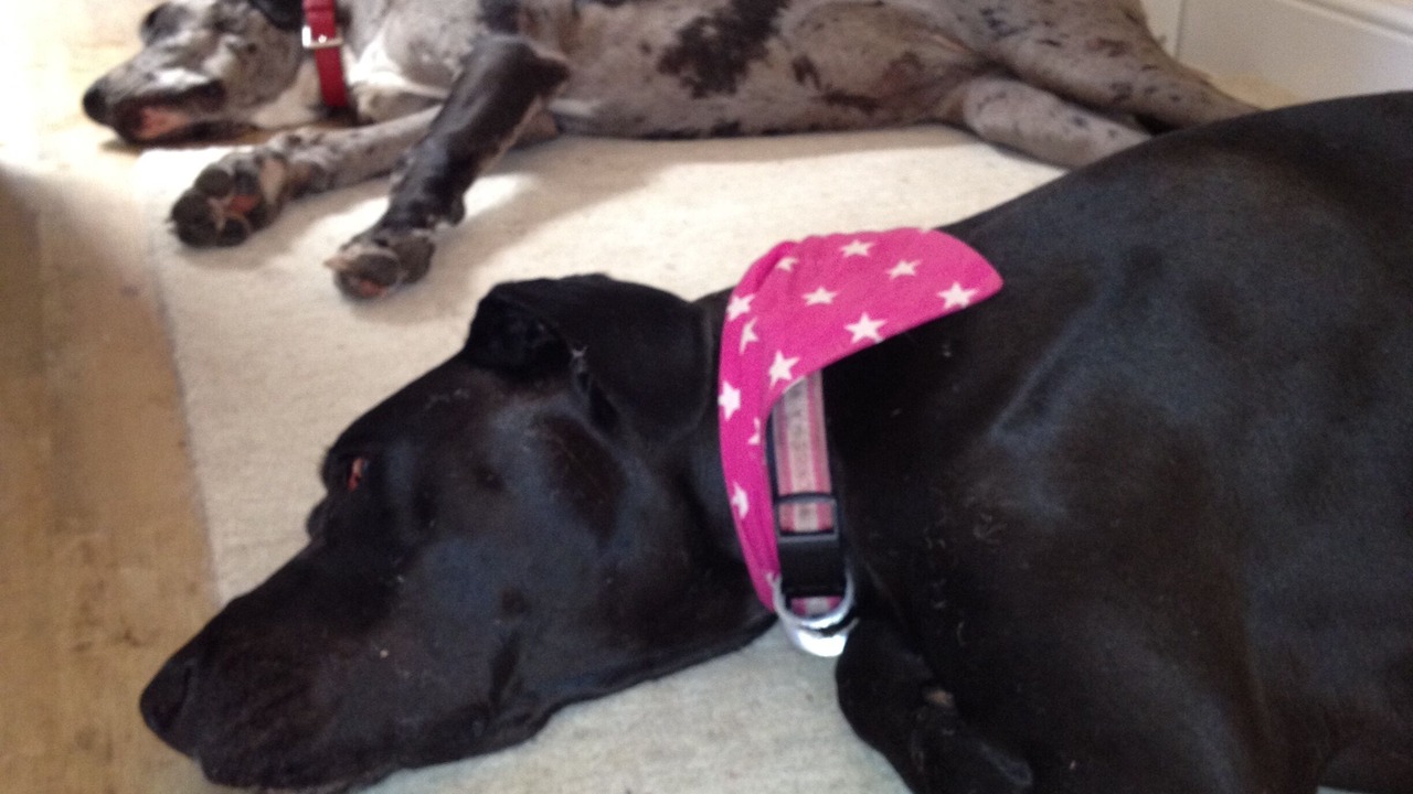 Photo of Others in Watchet