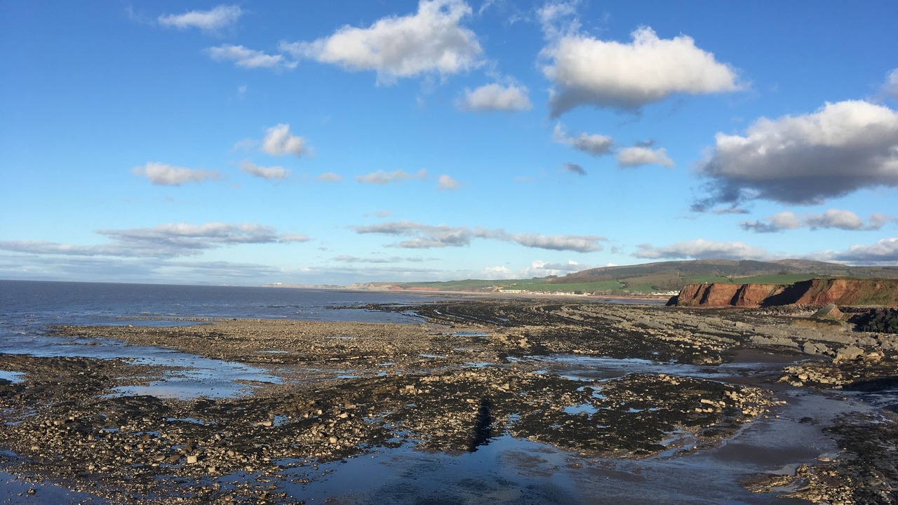 Photo of Others in Watchet