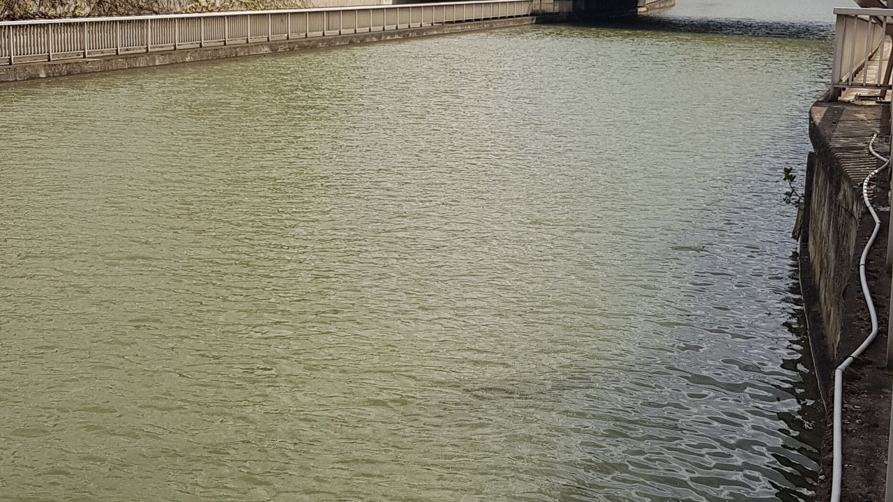 Photo of Others in Saint-Etienne