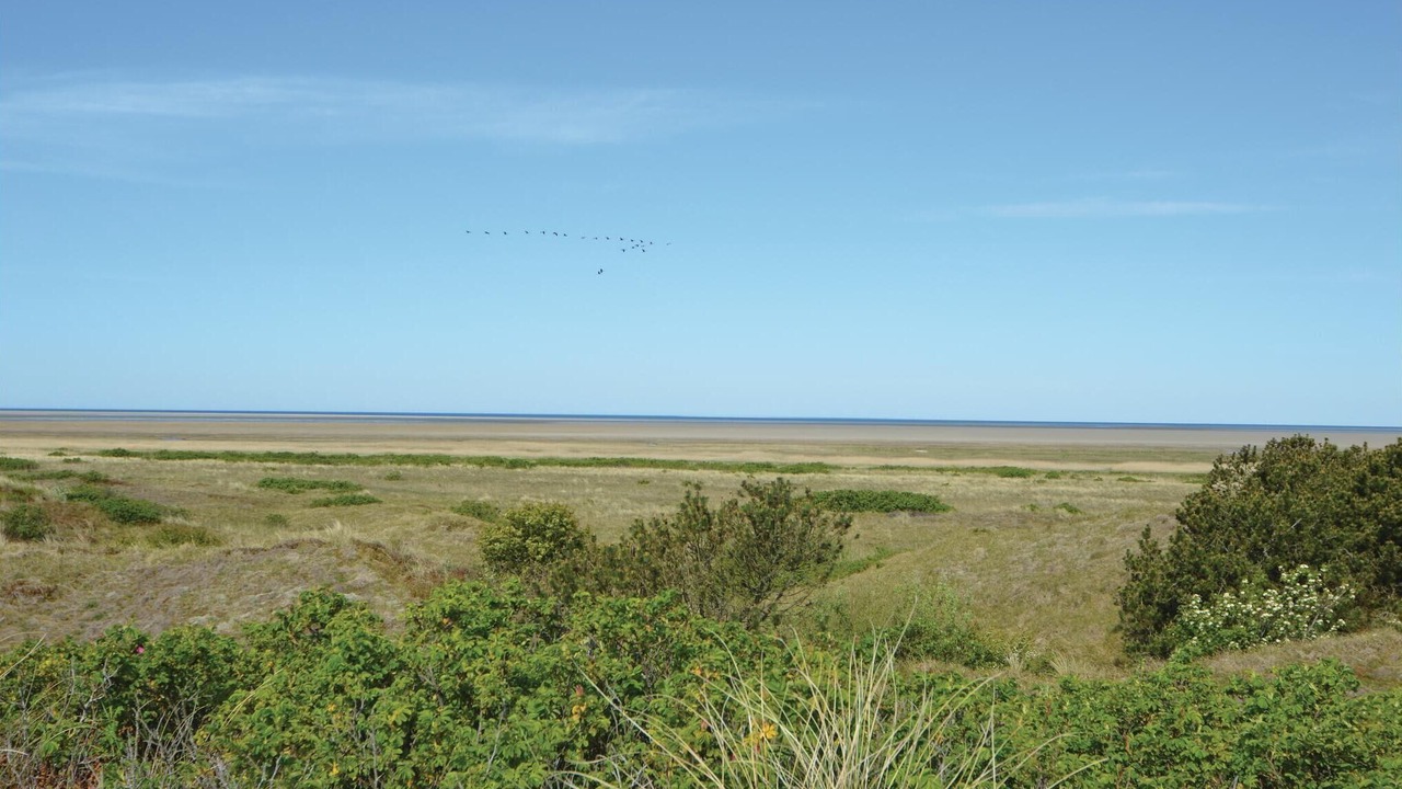 Photo of Others in Sonderho