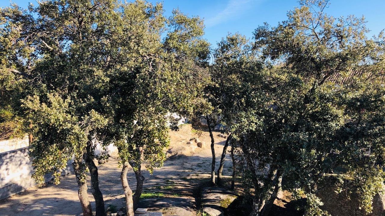 Photo of Outdoor in Ituero y Lama
