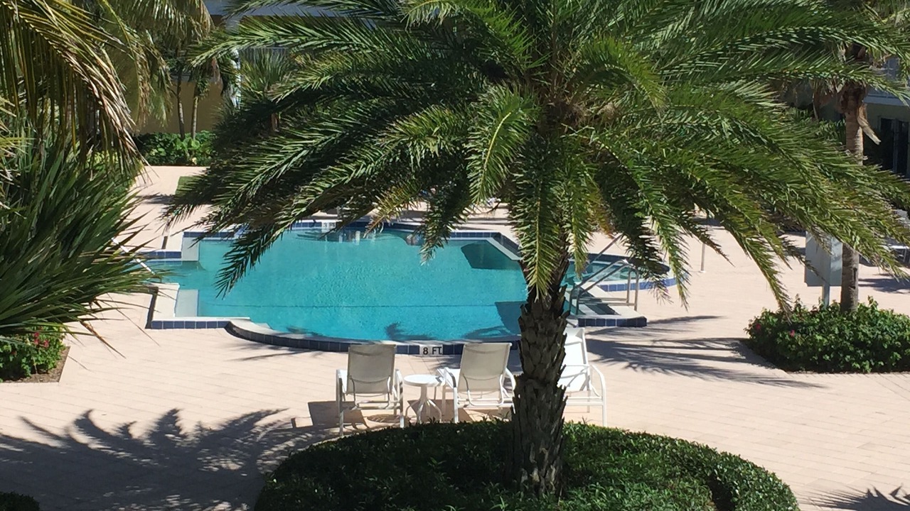 Photo of Outdoor in Johns Island