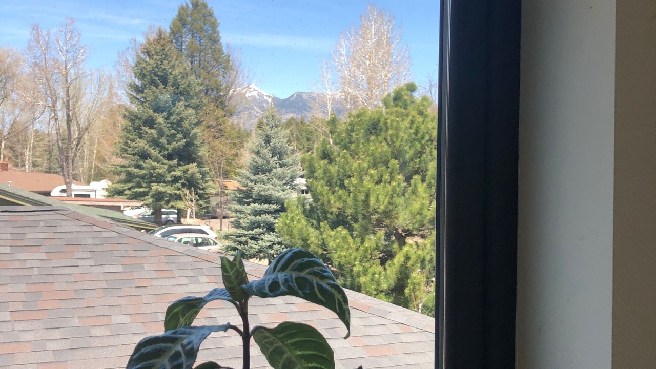 Photo of Others in Coconino Estates