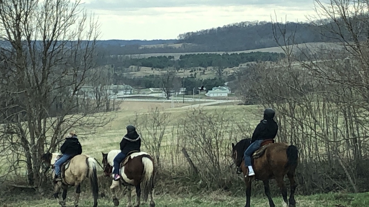 Photo of Others in The Galena Territory