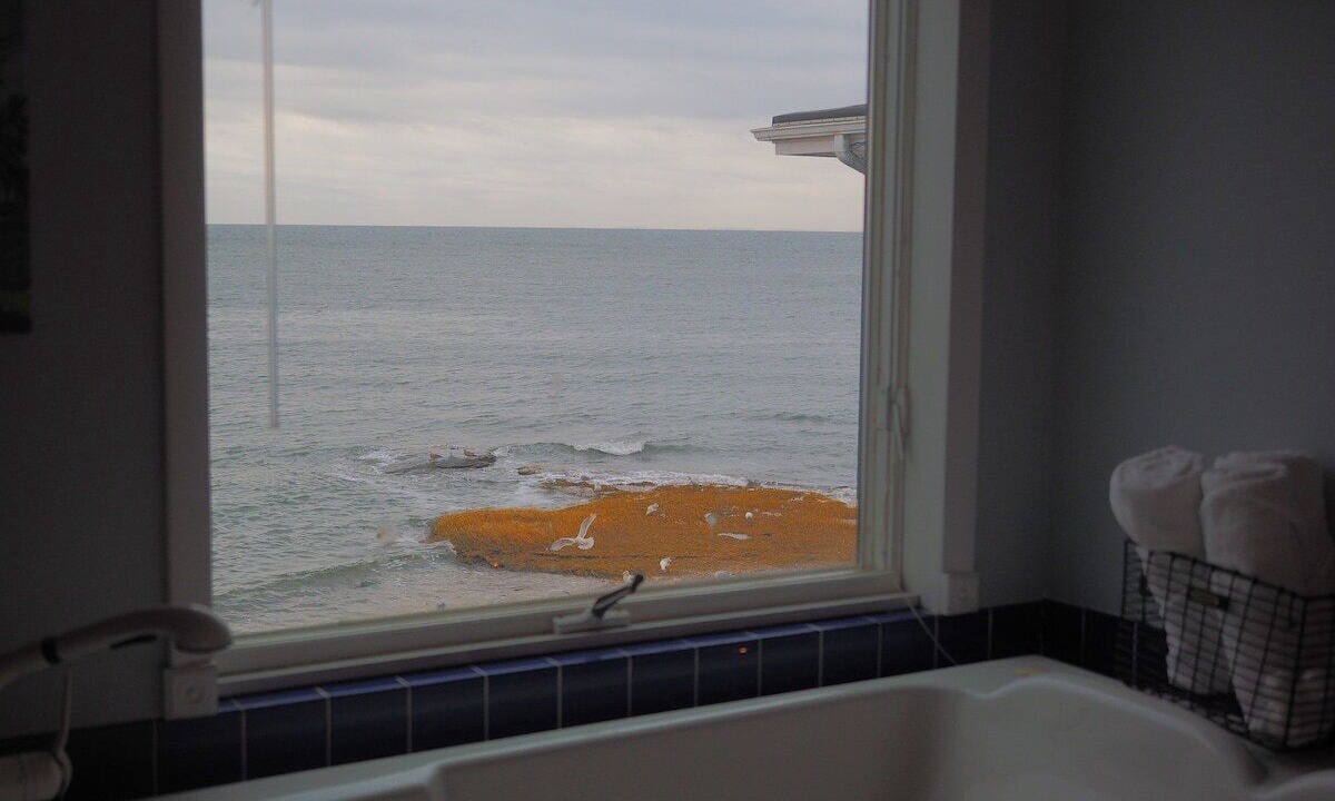 Photo of Others in Morgan Point