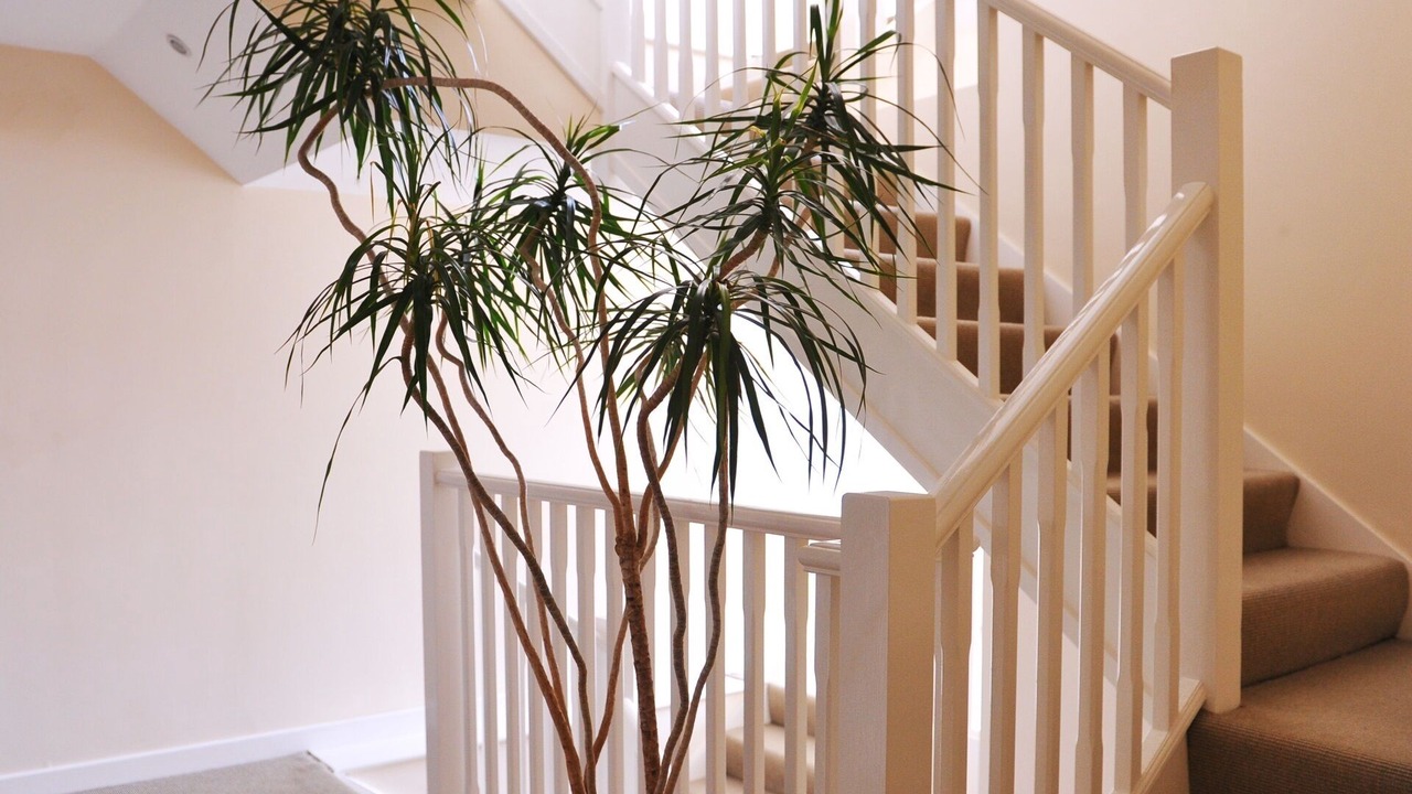 Photo of Others in Exeter