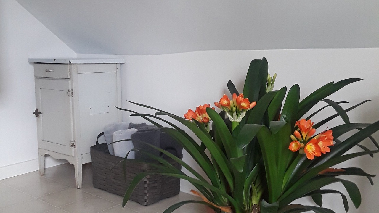 Photo of Others in Rochester