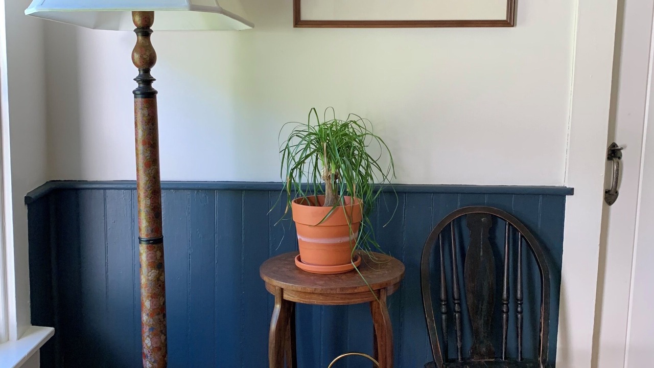 Photo of Others in Rochester