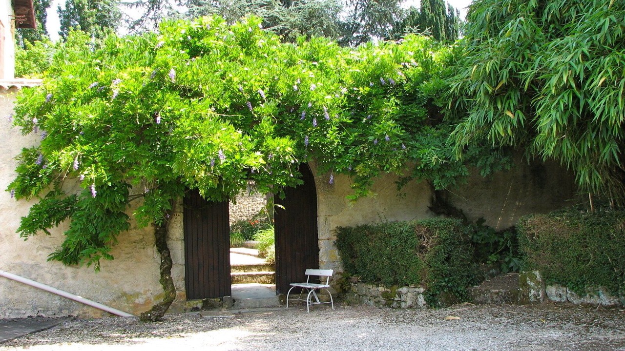 Photo of Outdoor in Vergt-de-Biron