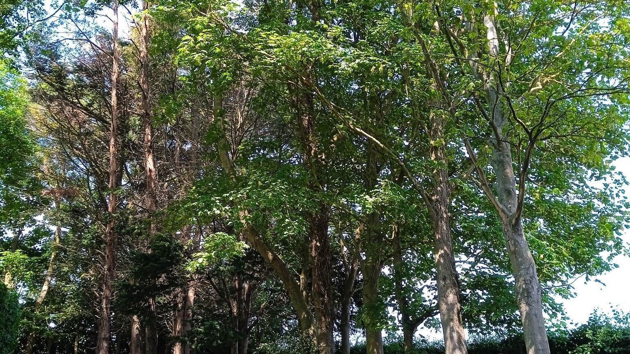 Photo of Outdoor in Colline-Beaumont