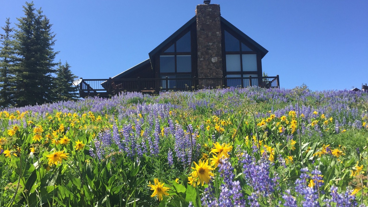 Photo of Others in Mount Crested Butte