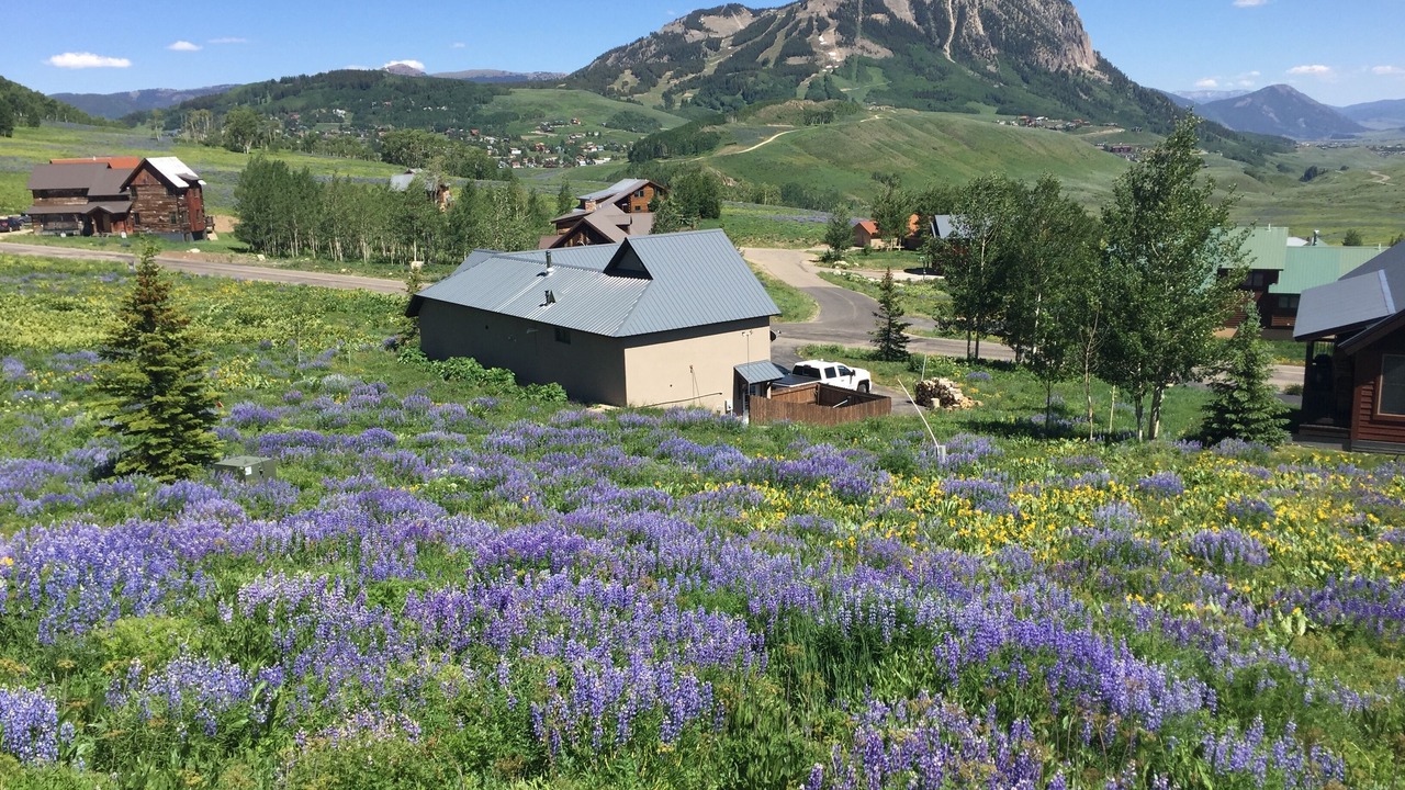 Photo of Others in Mount Crested Butte