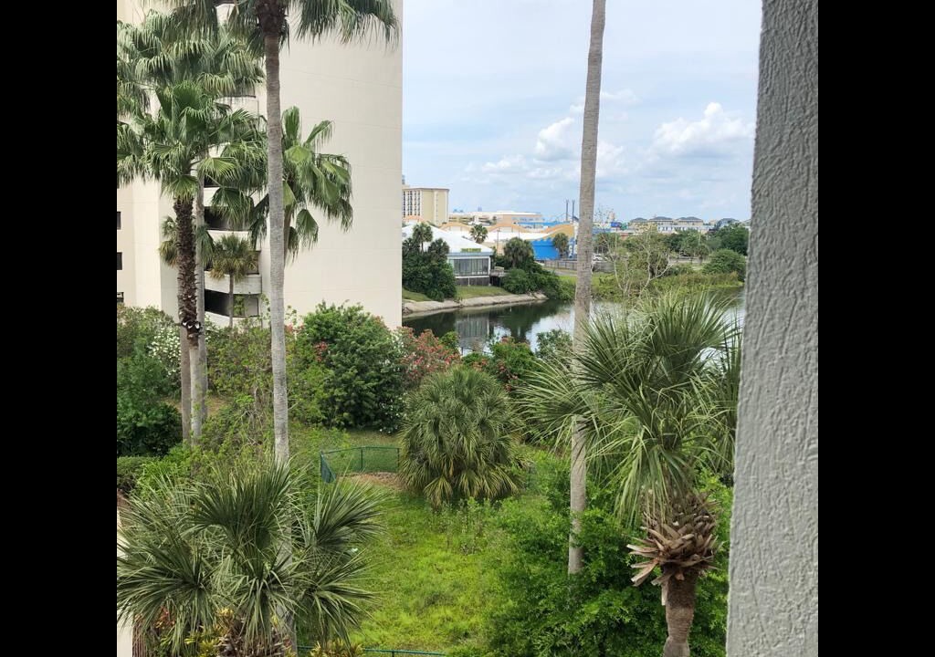 Photo of Outdoor in Southwest Orlando