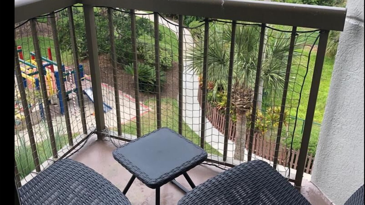 Photo of Outdoor in Southwest Orlando