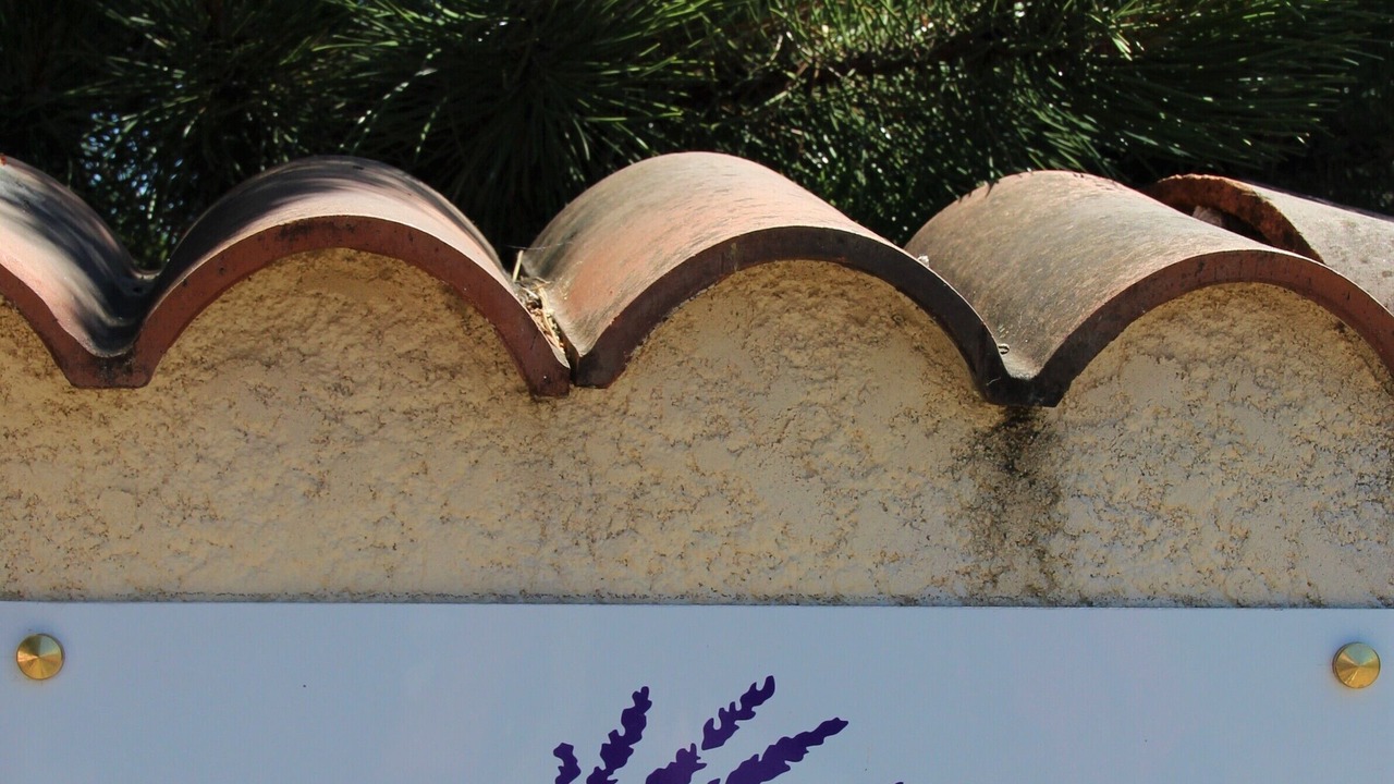 Photo of Outdoor in Grillon