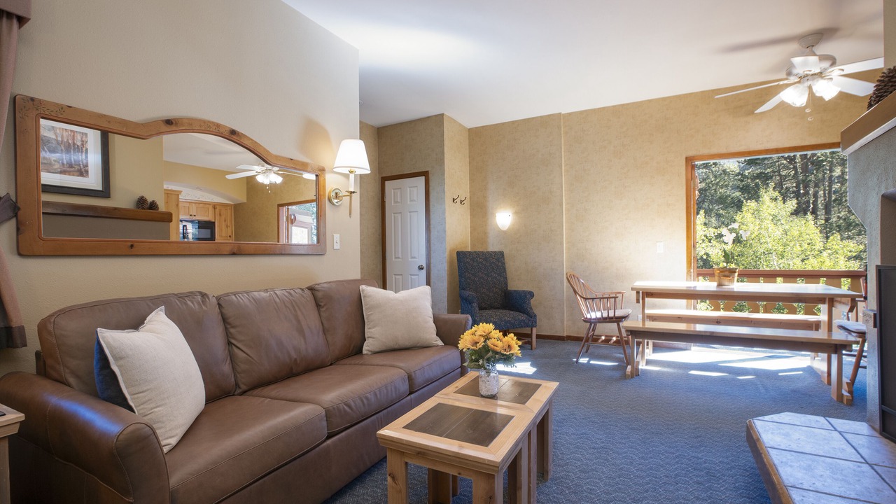 Photo of Livingroom in Olympic Valley