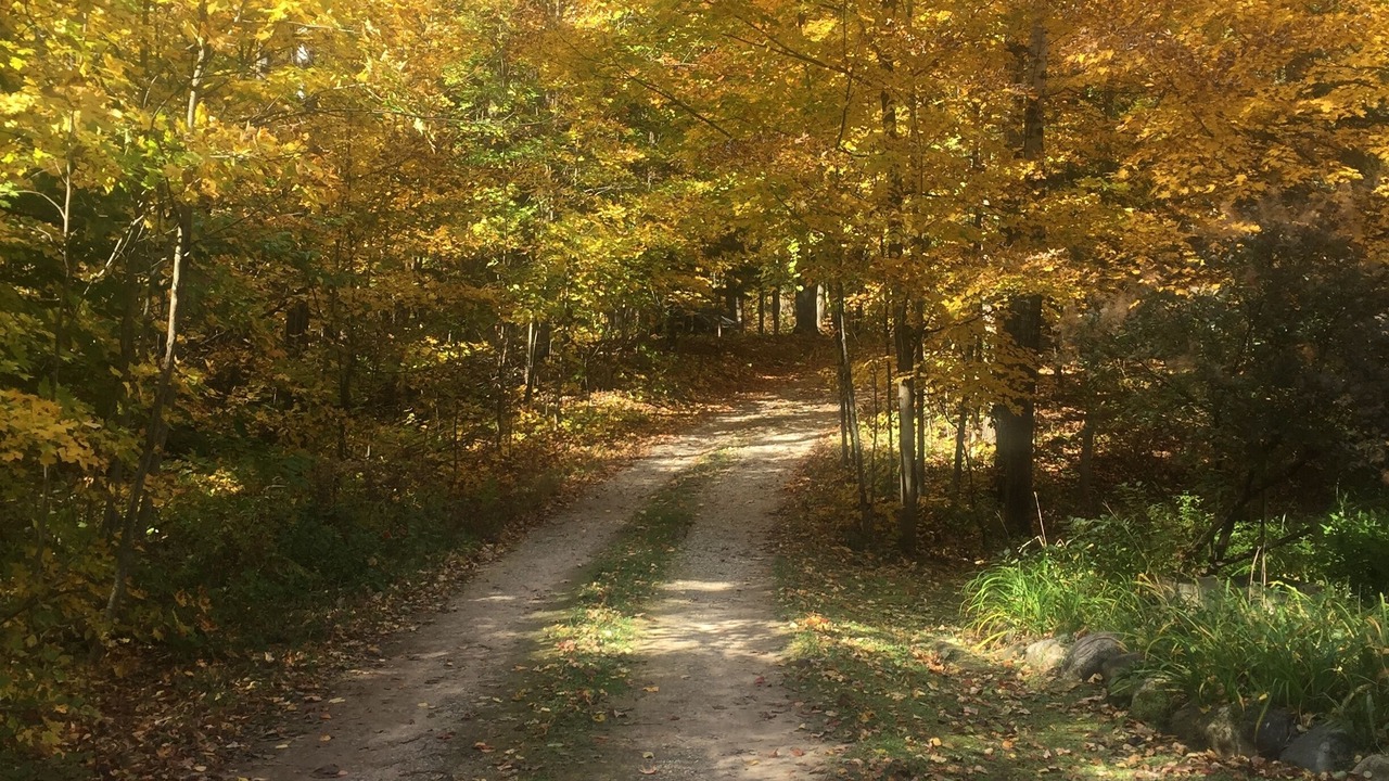 Photo of Others in Thompsonville