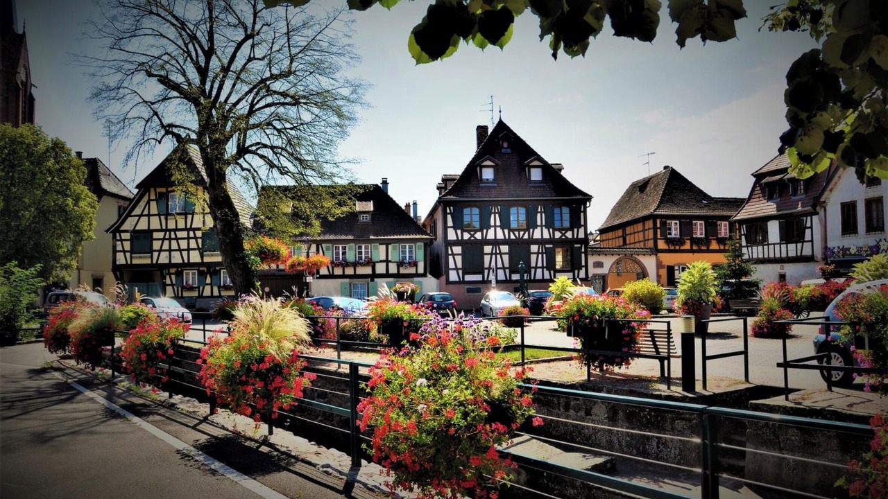 Photo of Others in Scherwiller