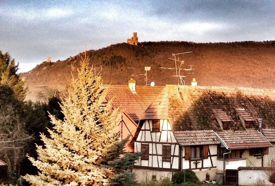 Photo of Outdoor in Scherwiller