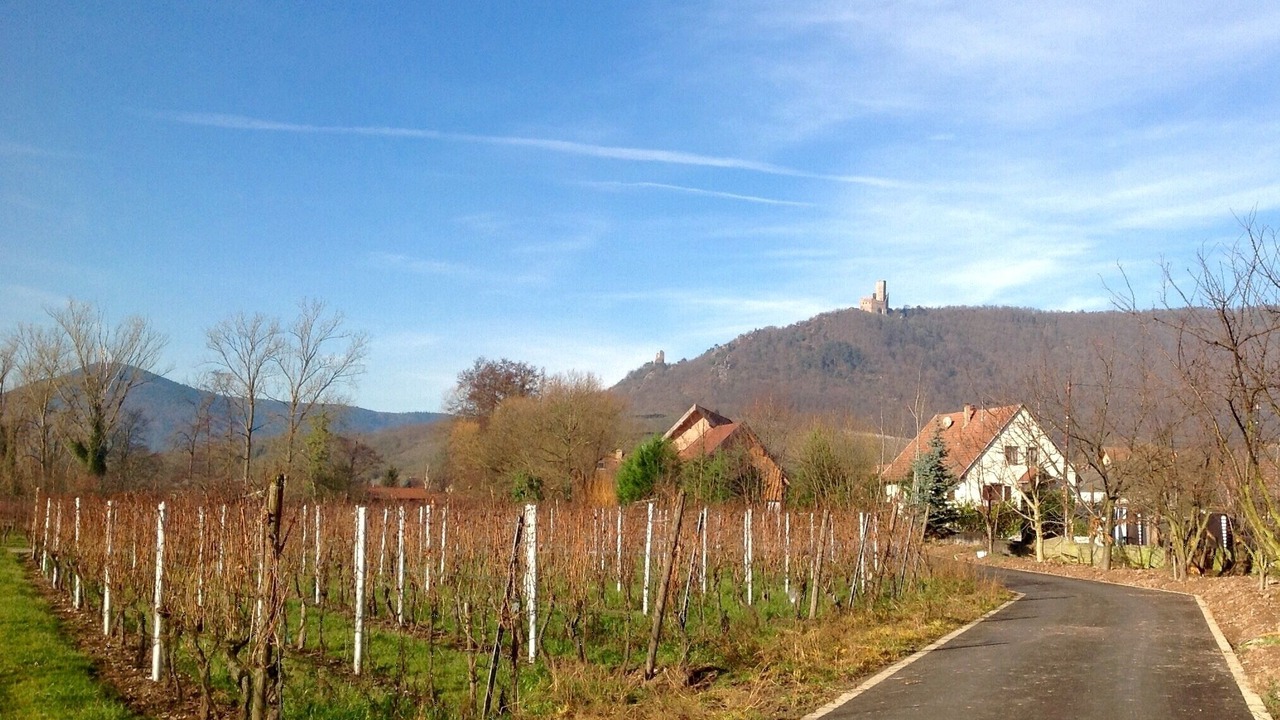 Photo of Outdoor in Scherwiller