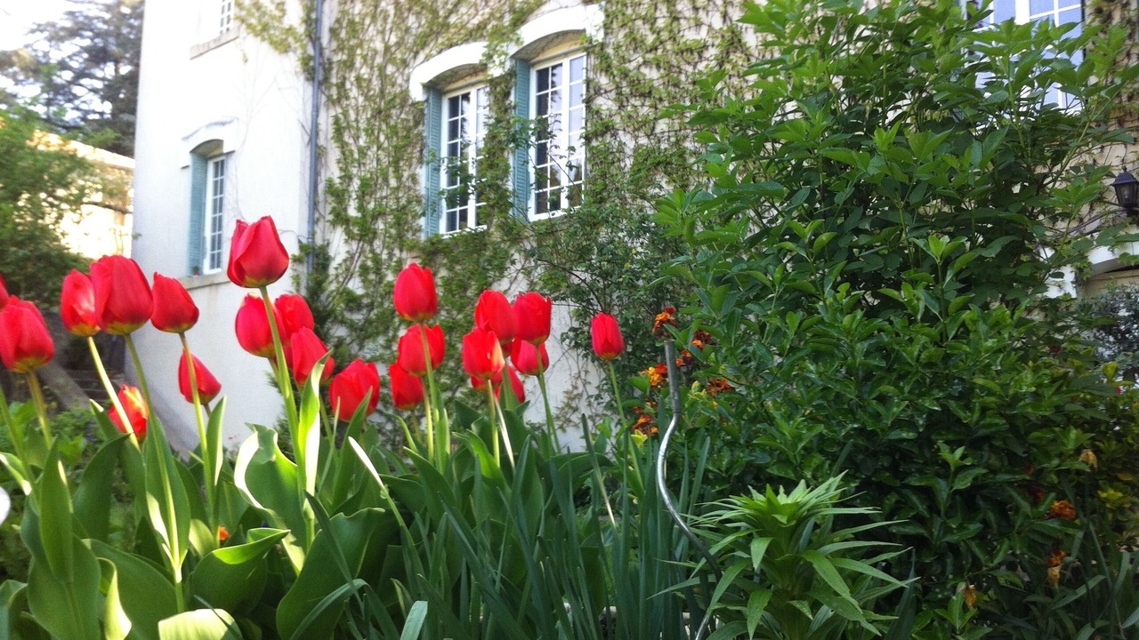 Photo of Outdoor in Vals-les-Bains
