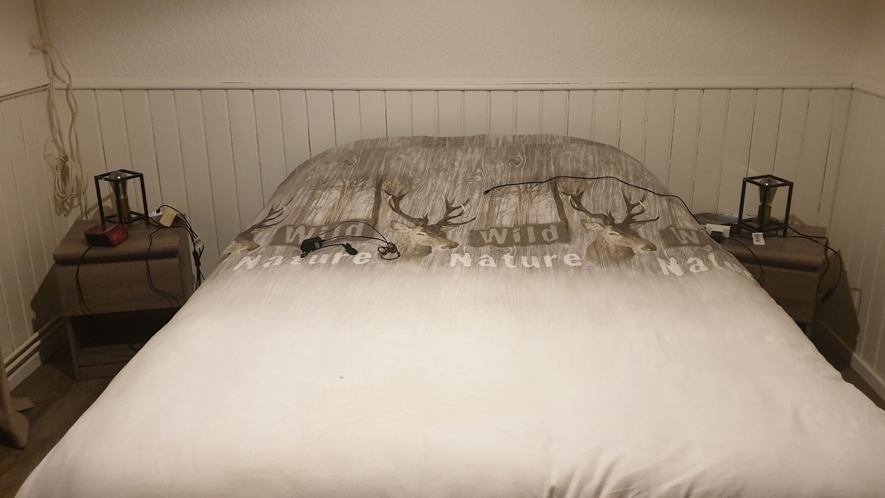 Photo of Bedroom in La Houssiere