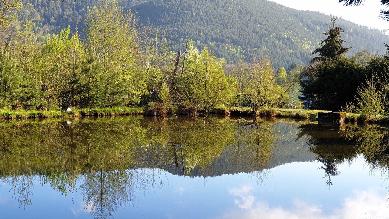 Photo of Outdoor in La Houssiere