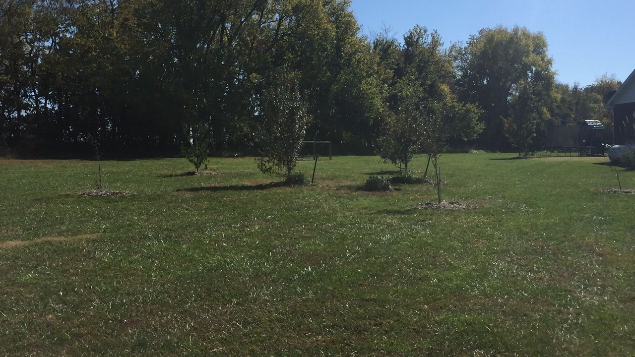 Photo of Outdoor in Bolivar