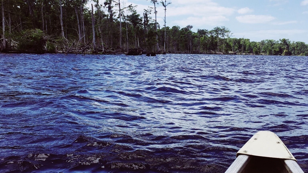 Photo of Others in Green Cove Springs