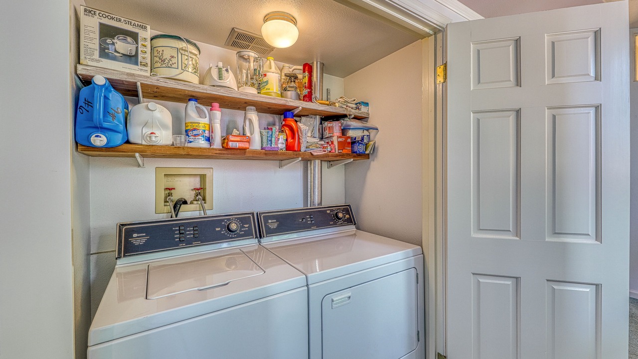 Photo of Others in Olga