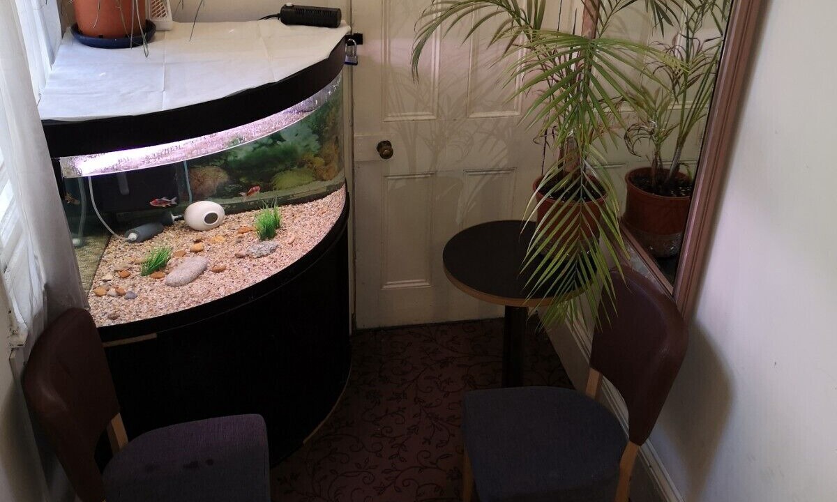 Photo of Others in Dover