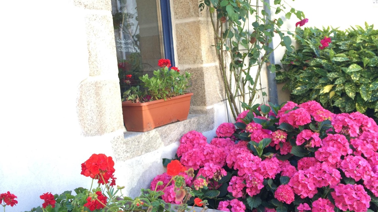 Photo of Outdoor in Noyal-Muzillac