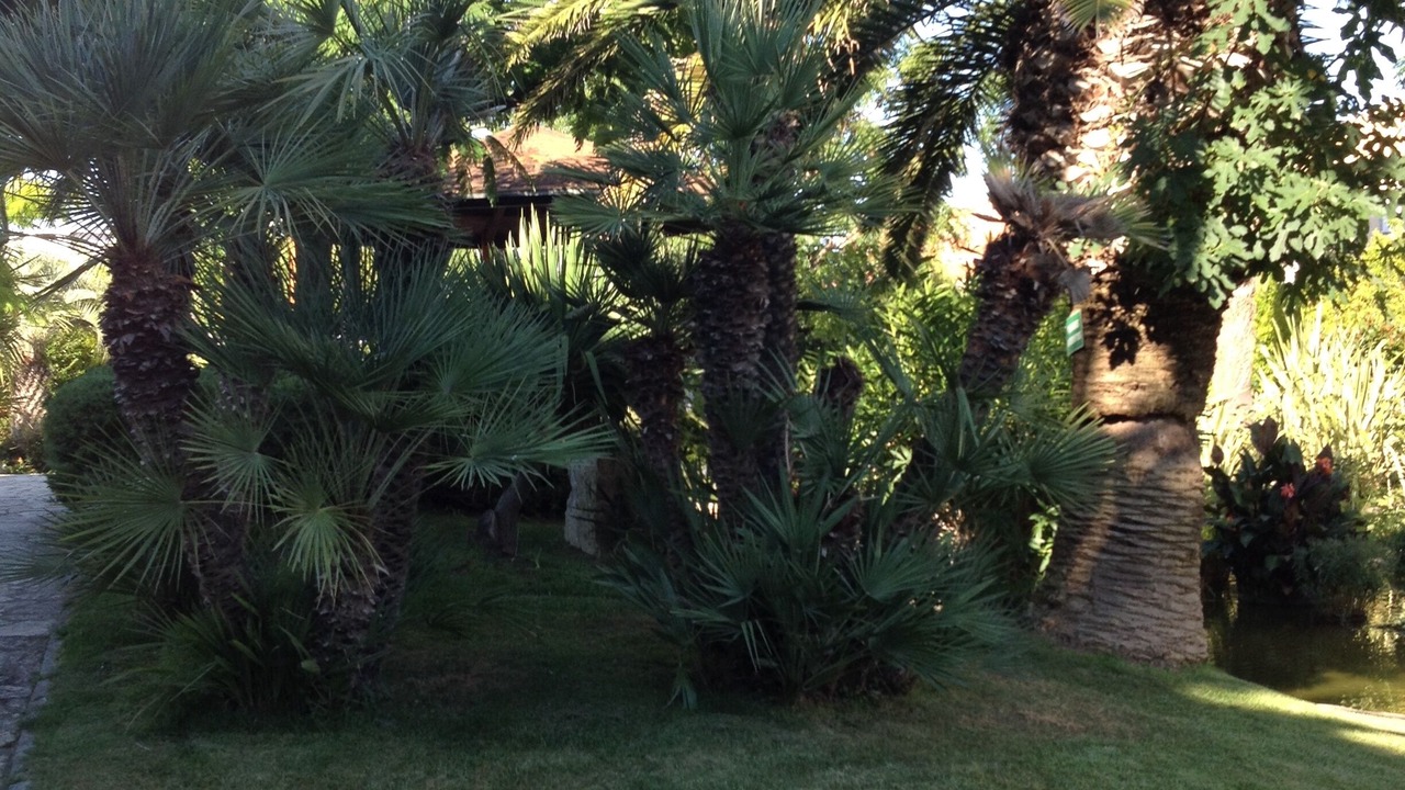 Photo of Outdoor in Valras-Plage