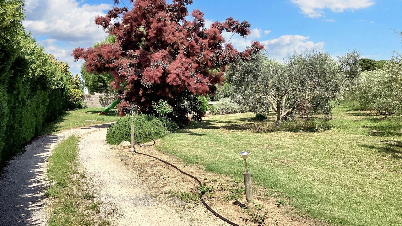 Photo of Outdoor in Saint-Nazaire-de-Pezan