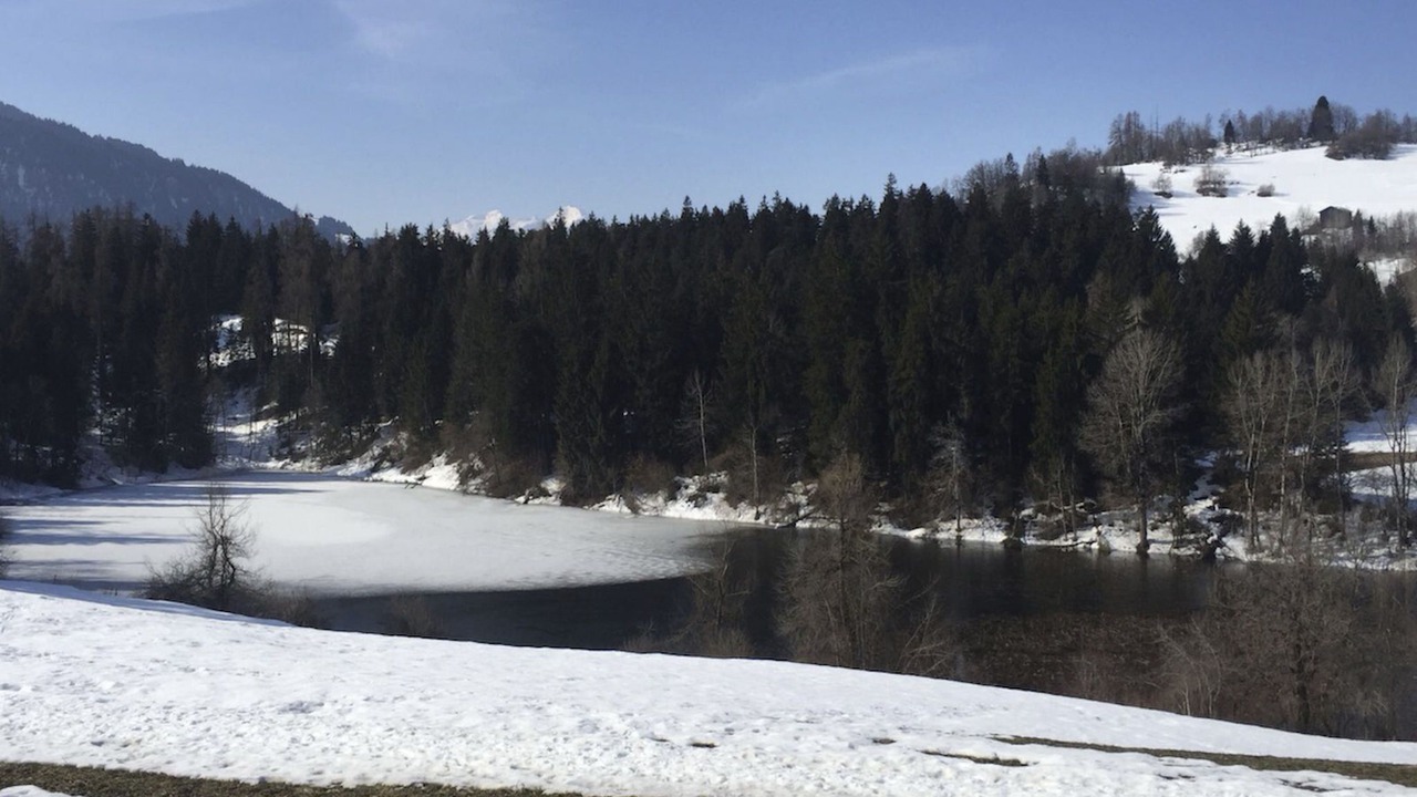 Photo of Others in Laax