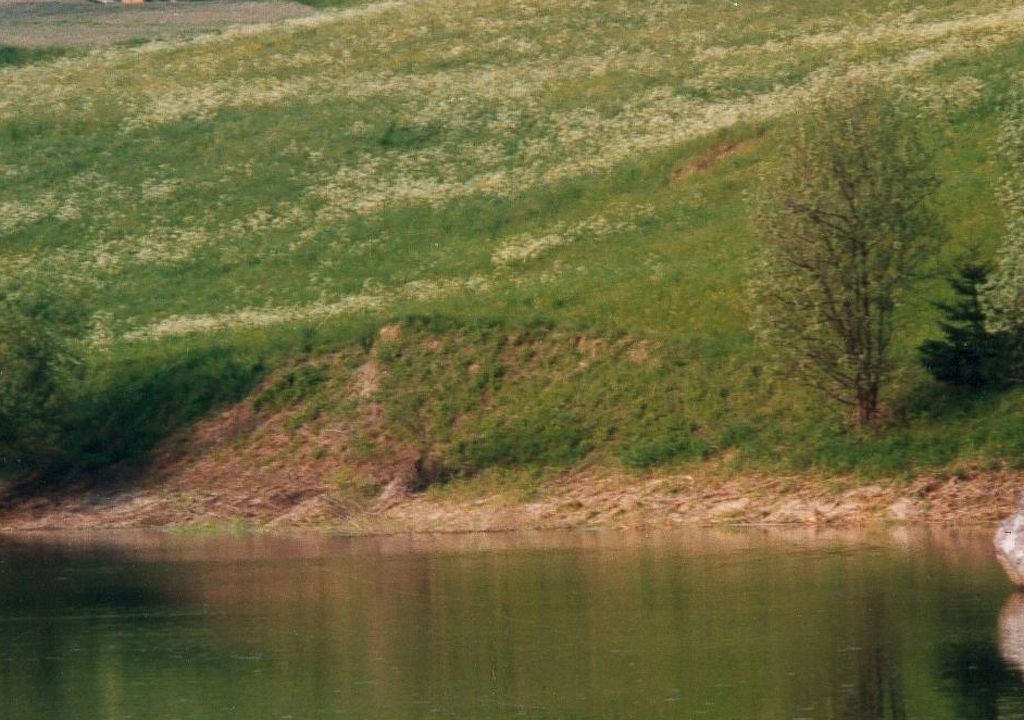 Photo of Others in Laax