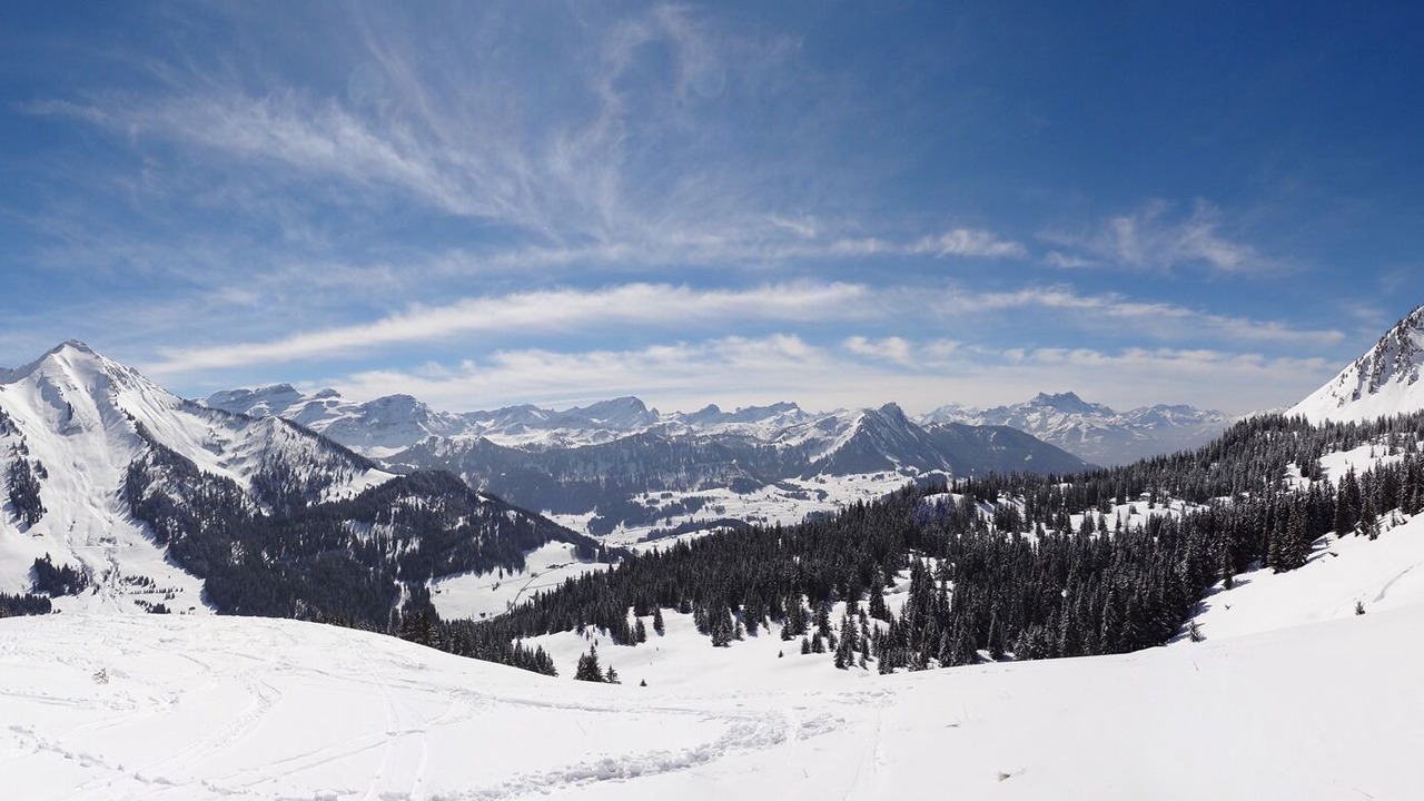 Photo of Others in Leysin