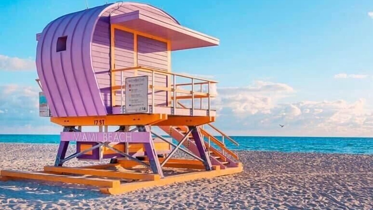 Photo of Others in South of Fifth