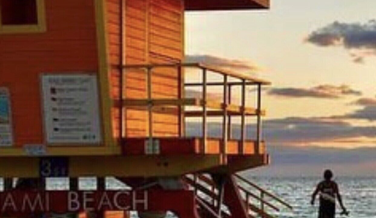 Photo of Others in South of Fifth