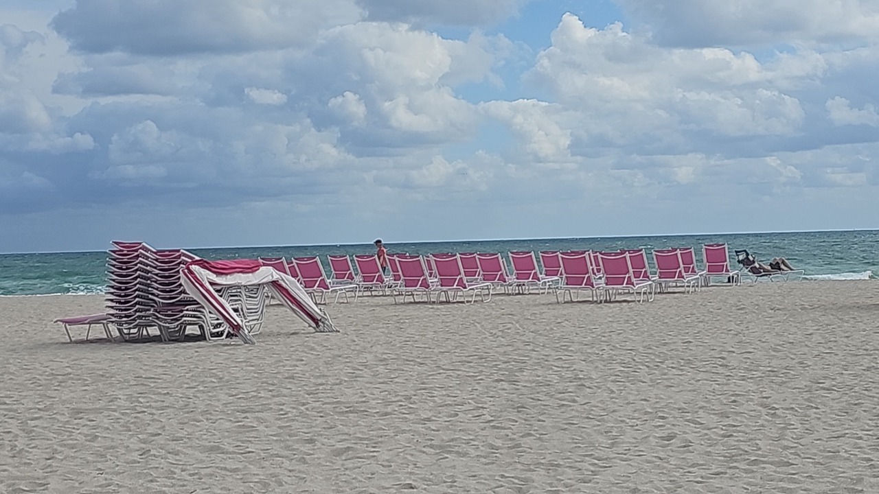 Photo of Others in South of Fifth