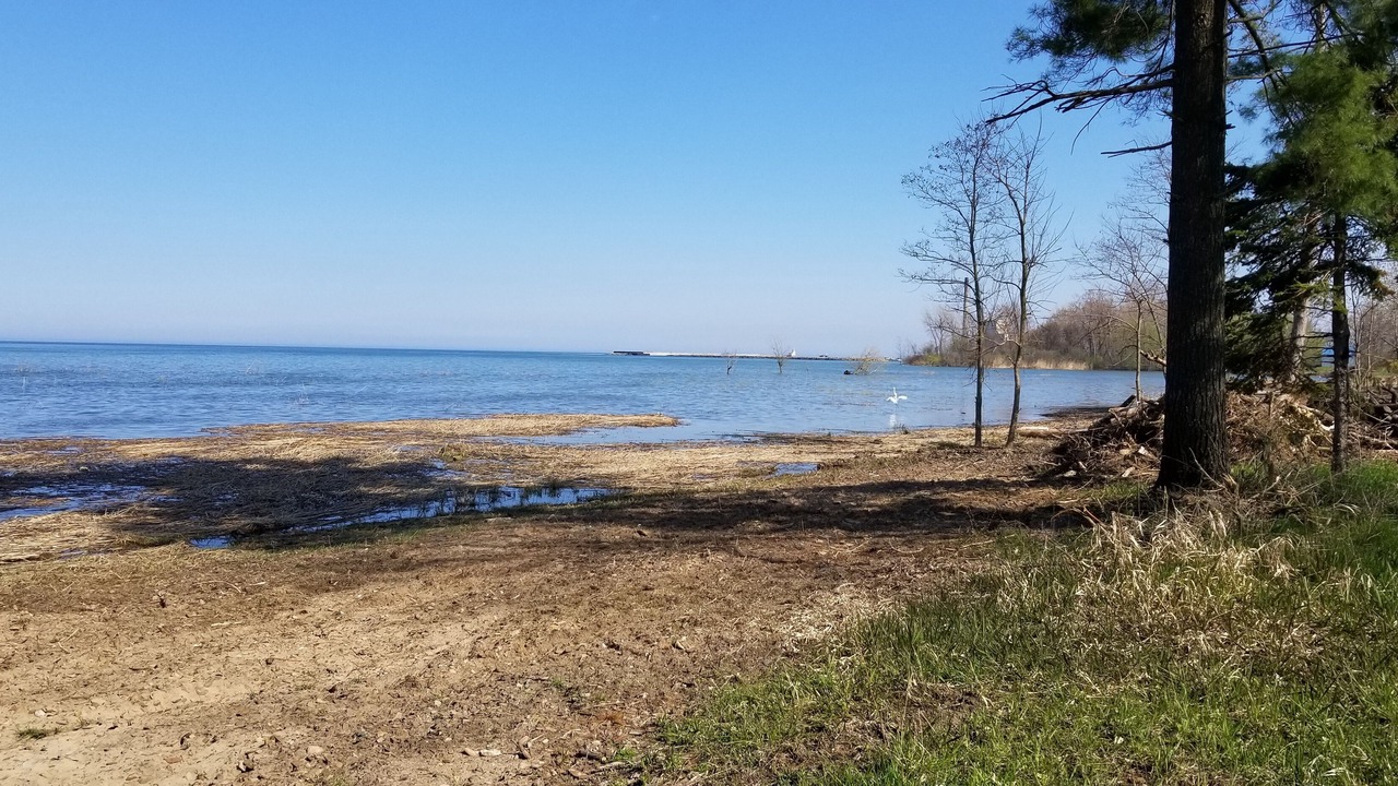 Photo of Others in Harbor Beach