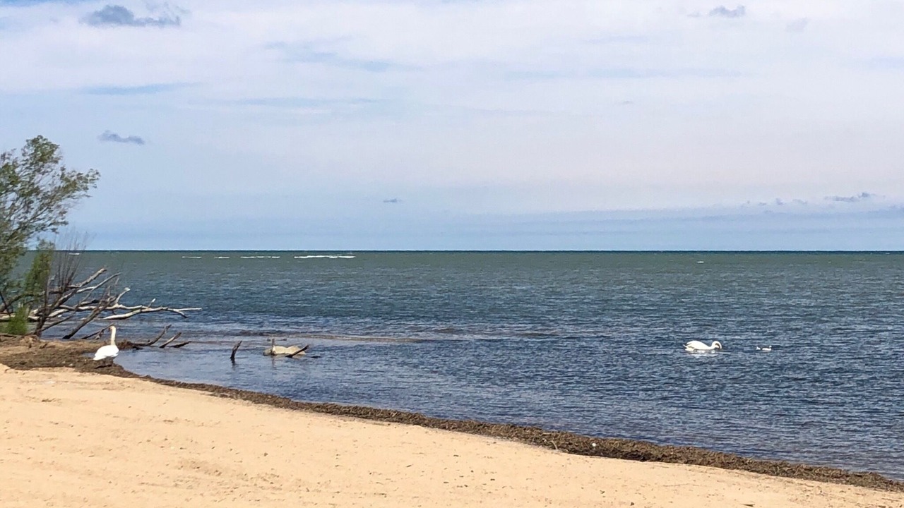 Photo of Others in Harbor Beach