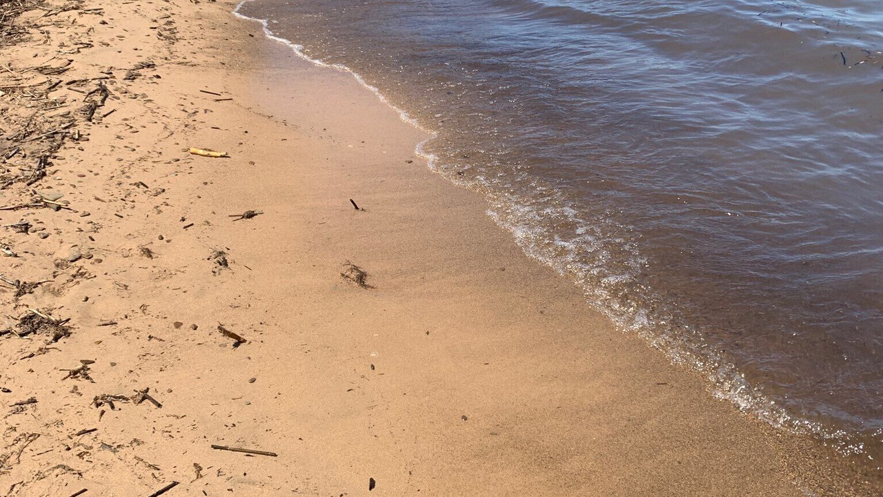 Photo of Others in Harbor Beach