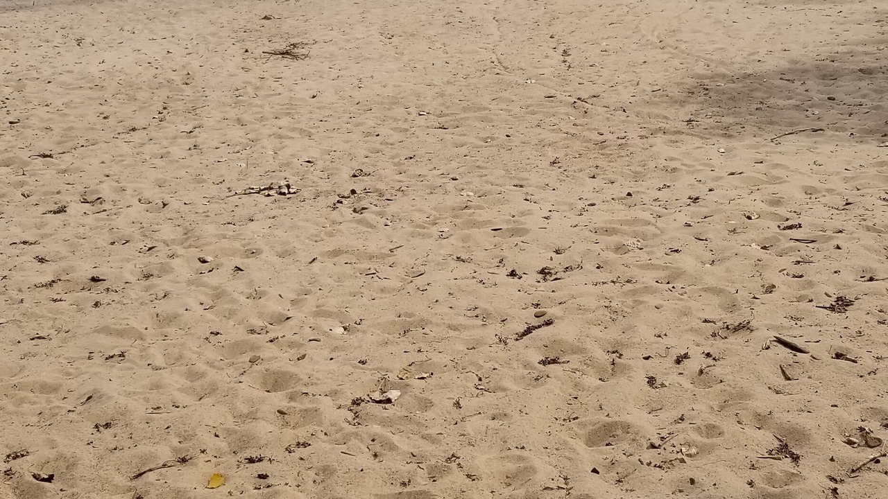 Photo of Others in Harbor Beach