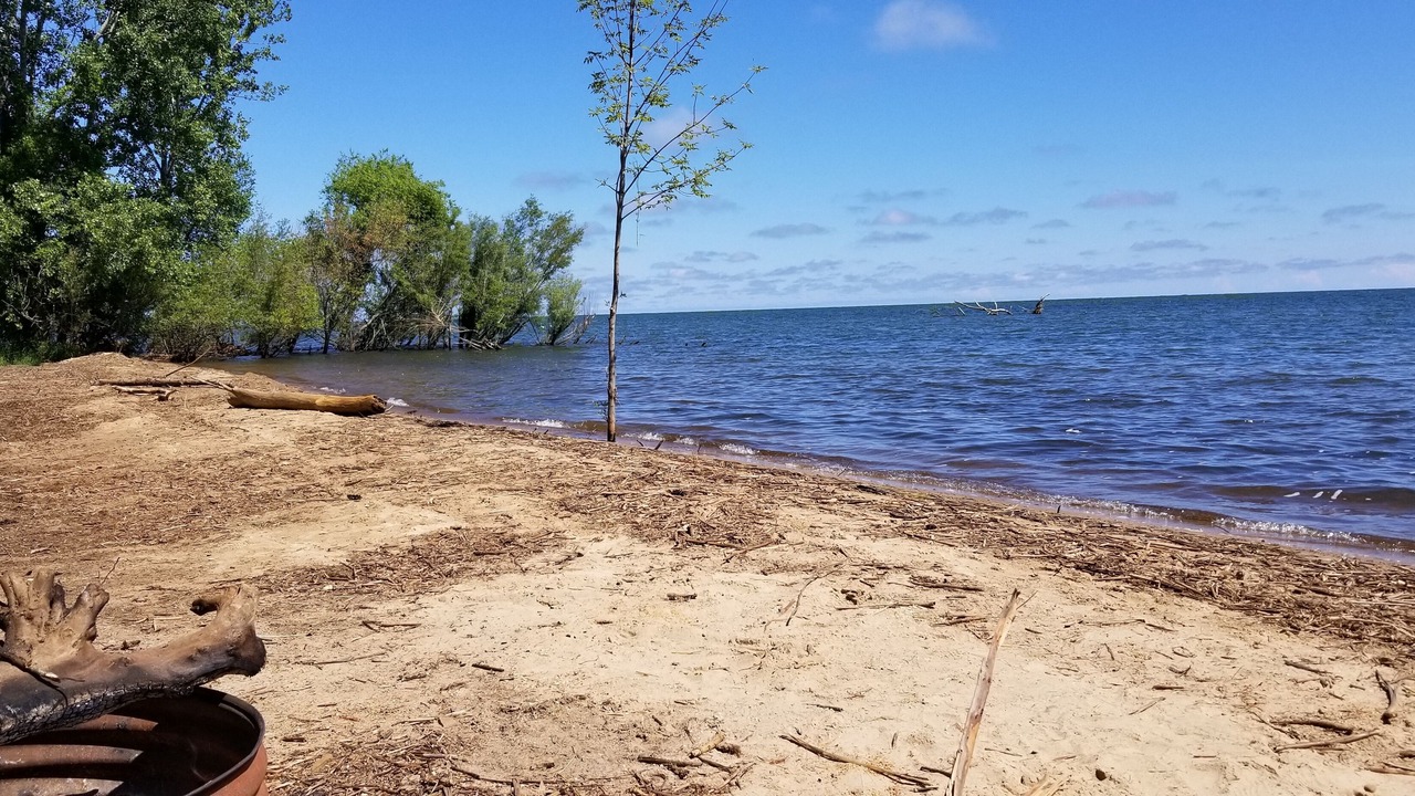 Photo of Others in Harbor Beach