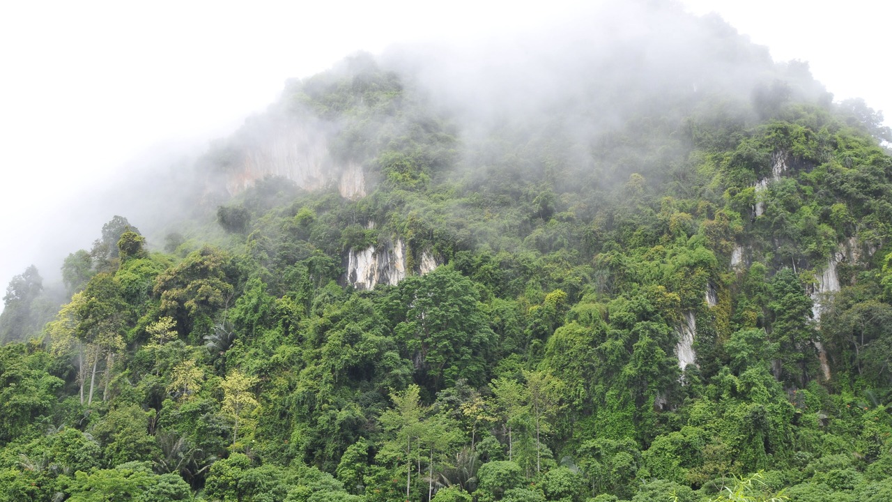 Photo of Others in Ulu Kinta